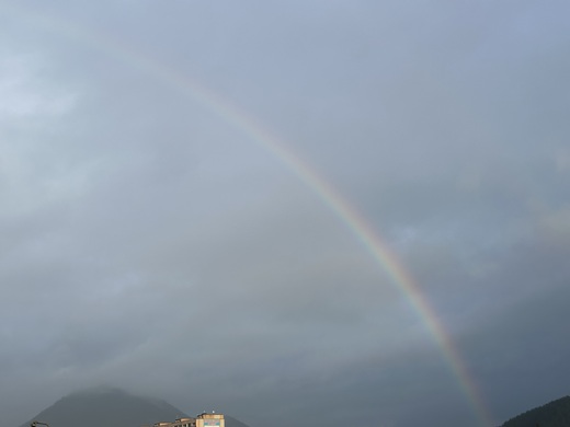 Dovoz Peugeot e 208 Prepravná spoločnosť NRM_8696.jpeg